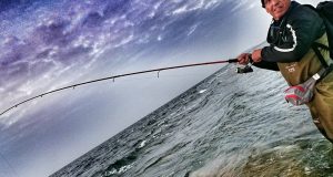 Sea Fishing in Ireland