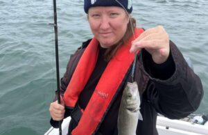 Bass, pollack and even tub gurnard on fly in Cork Harbour Daisy Swette with a bass